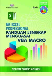 Ms excel professional