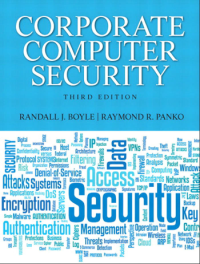 Corporate computer security