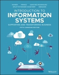 Image of Introduction to information systems